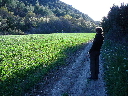 P1020296.JPG
