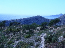 P1020300.JPG
