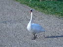 P1020368.JPG