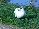 P1020369.JPG