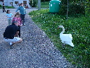 P1020371.JPG