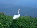P1020372.JPG