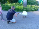 P1020399.JPG