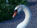 P1020400.JPG