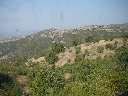 P1010093.JPG