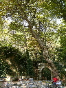 P1010105.JPG