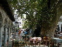 P1010113.JPG