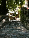 P1010115.JPG