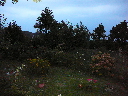 P1010144.JPG