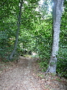P1010150.JPG
