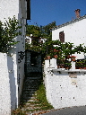 P1010154.JPG