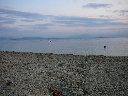 P1010159.JPG