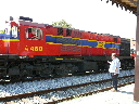 P1010179.JPG