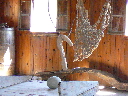 P1010226.JPG