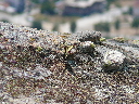 P1010248.JPG
