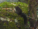 P1010330_1Mp.jpg