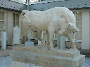 P1010588.JPG