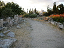 P1010595.JPG