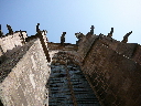P1000996.JPG